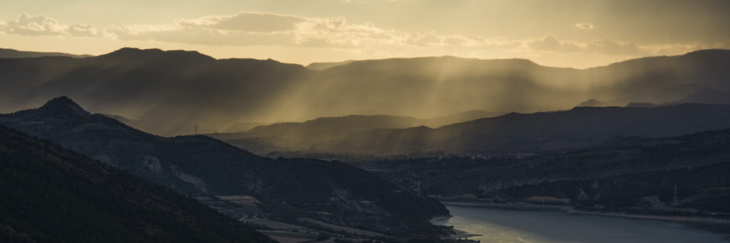 llenya, pallars, venda llenya, forestal, venda domicili